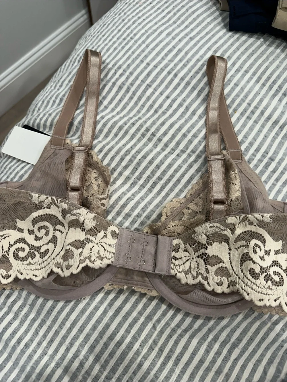 Wacoal sheer lace